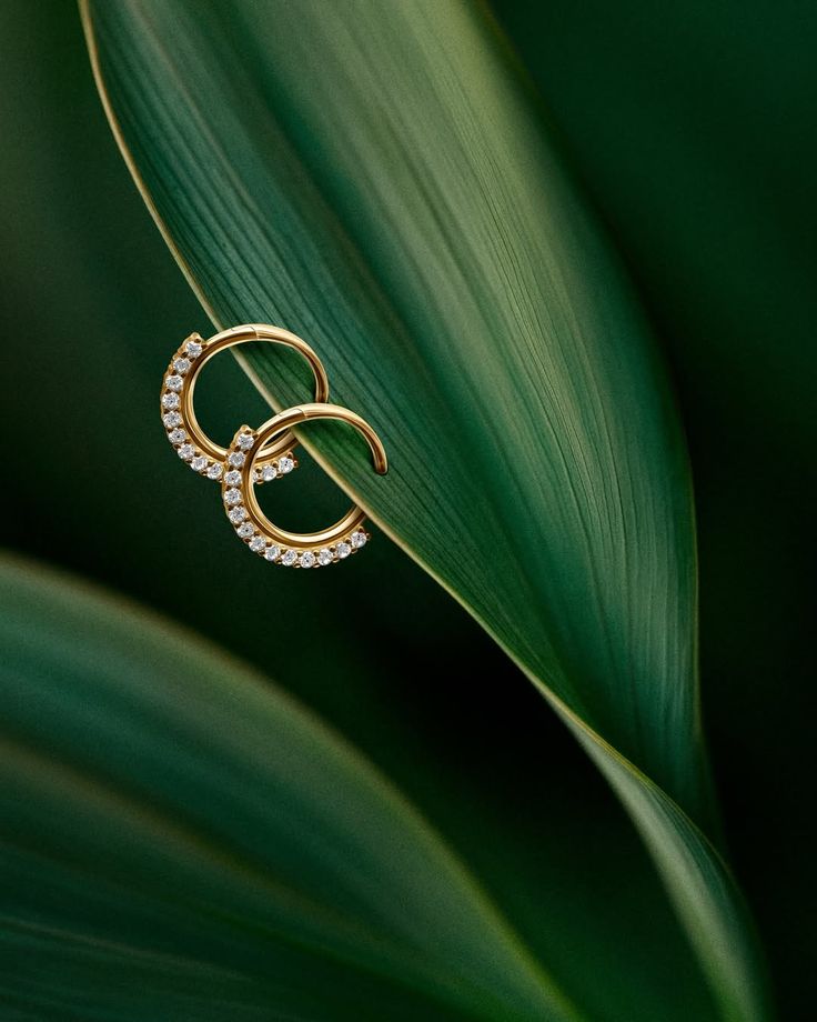 Jewelry Photo Editing and Retouching Services